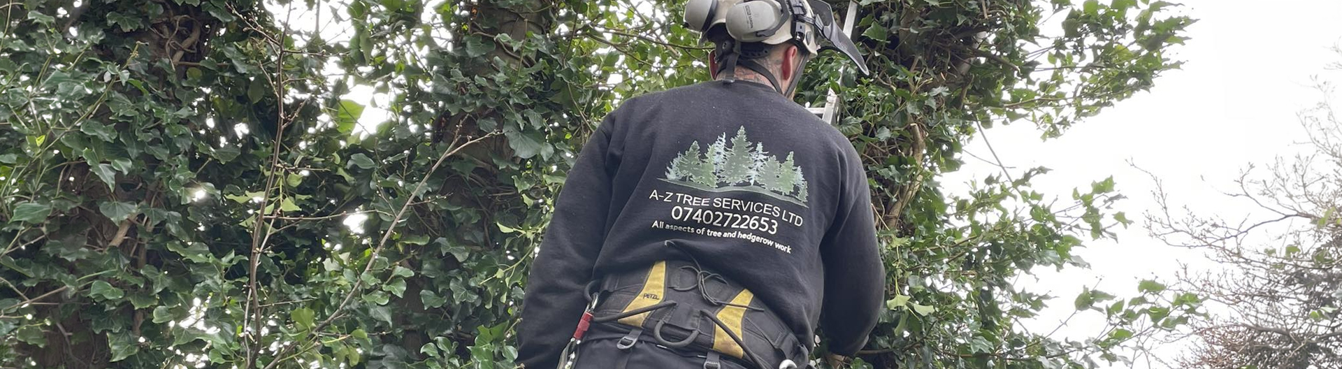 Our Services