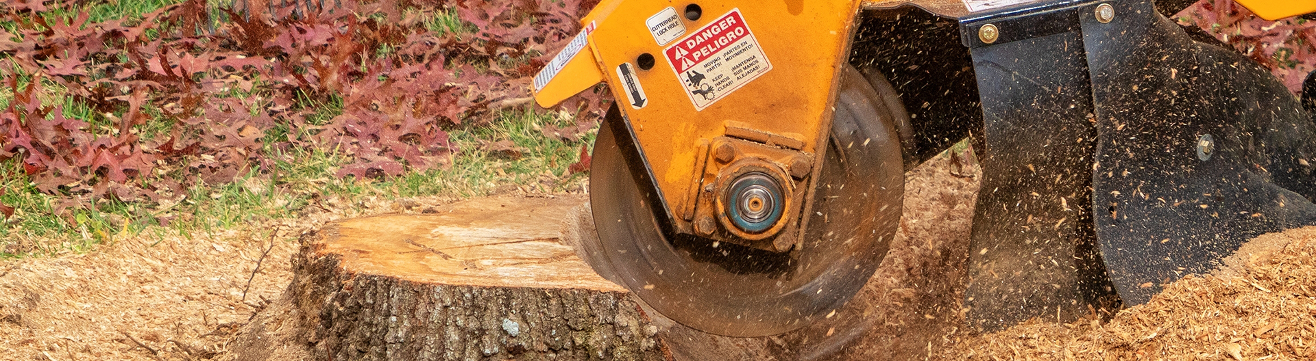 Stump Grinding & Eco Plugging in Yorkshire