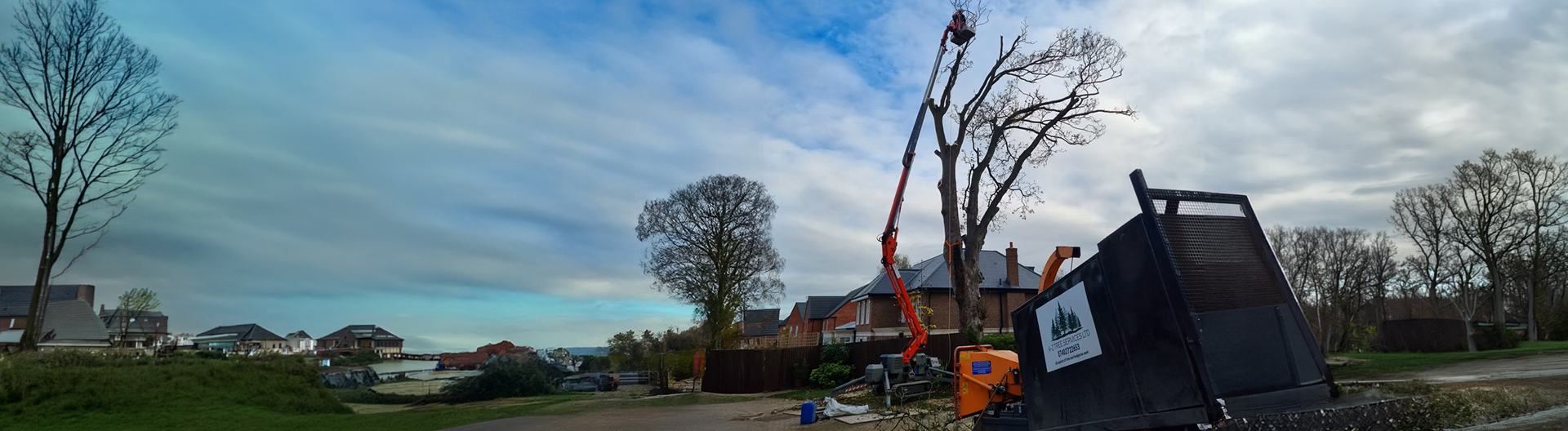 Tree Felling & Dismantling Services in Yorkshire